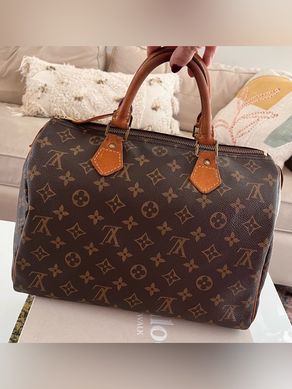 Louis Vuitton Speedy 30 Monogram Handbag